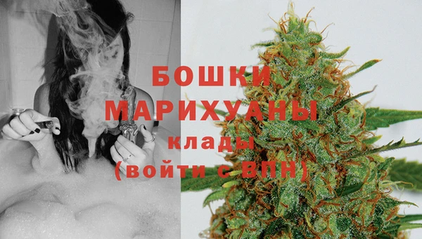 стафф Корсаков