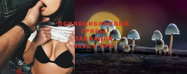 стафф Корсаков
