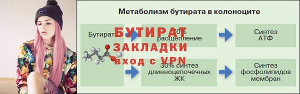 стафф Корсаков