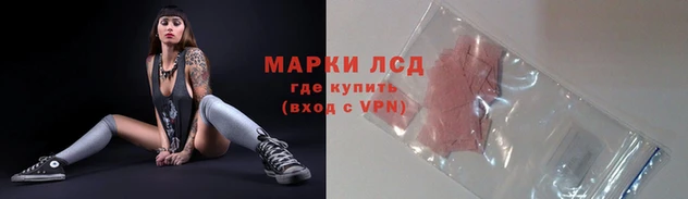 стафф Корсаков