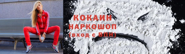 стафф Корсаков