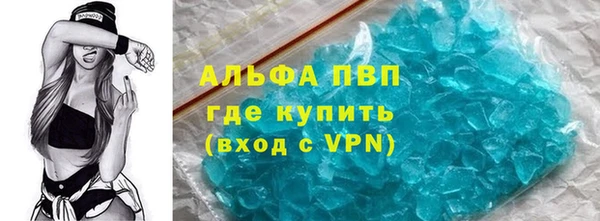 стафф Корсаков