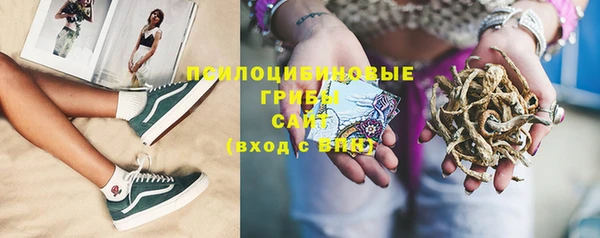 стафф Корсаков